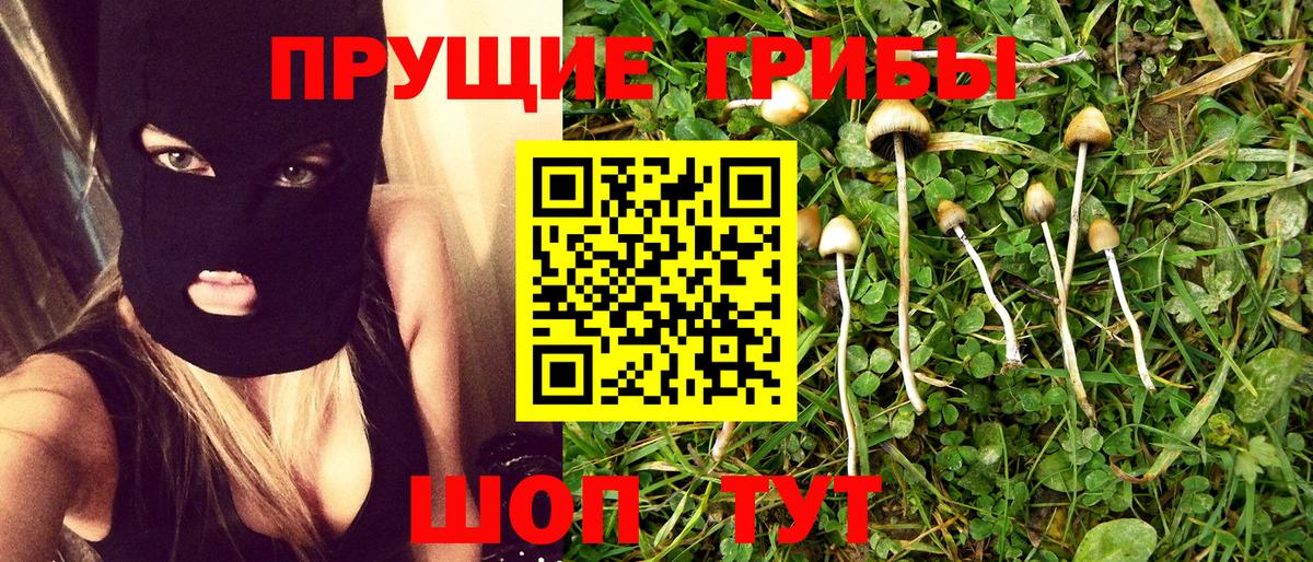 Псилоцибиновые грибы прущие грибы  Вход с VPN  Медногорск 